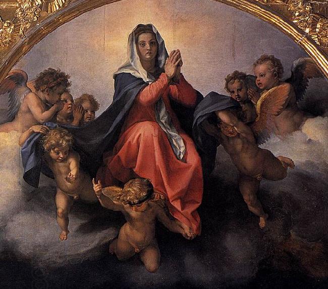 Andrea del Sarto Assumption of the Virgin oil painting picture